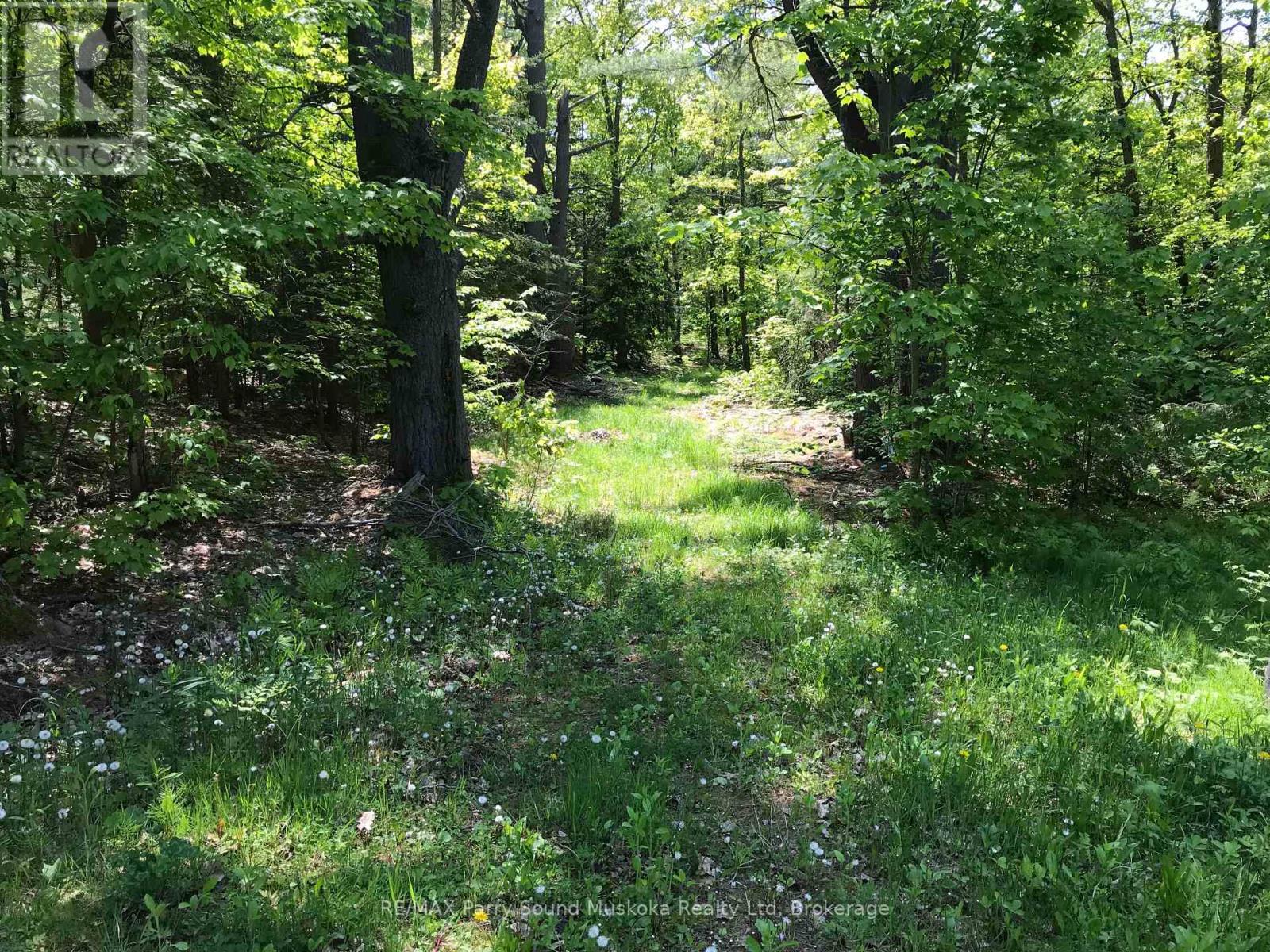 36 Windfall Lake Road, Seguin, Ontario  P2A 0B2 - Photo 7 - X12192556