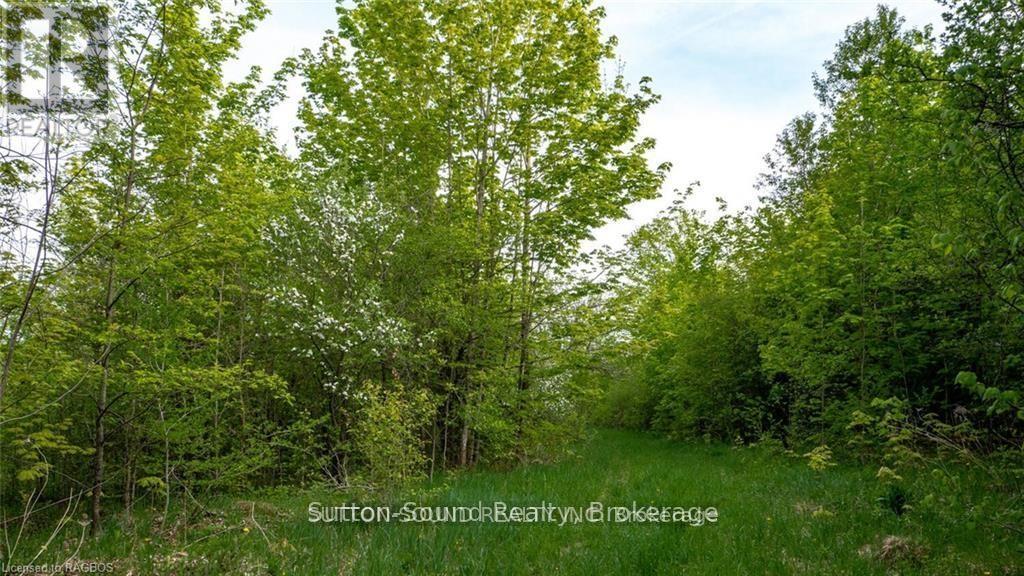 Lot 34 Dawson Road, Georgian Bluffs, Ontario  N0H 1S0 - Photo 8 - X12192816