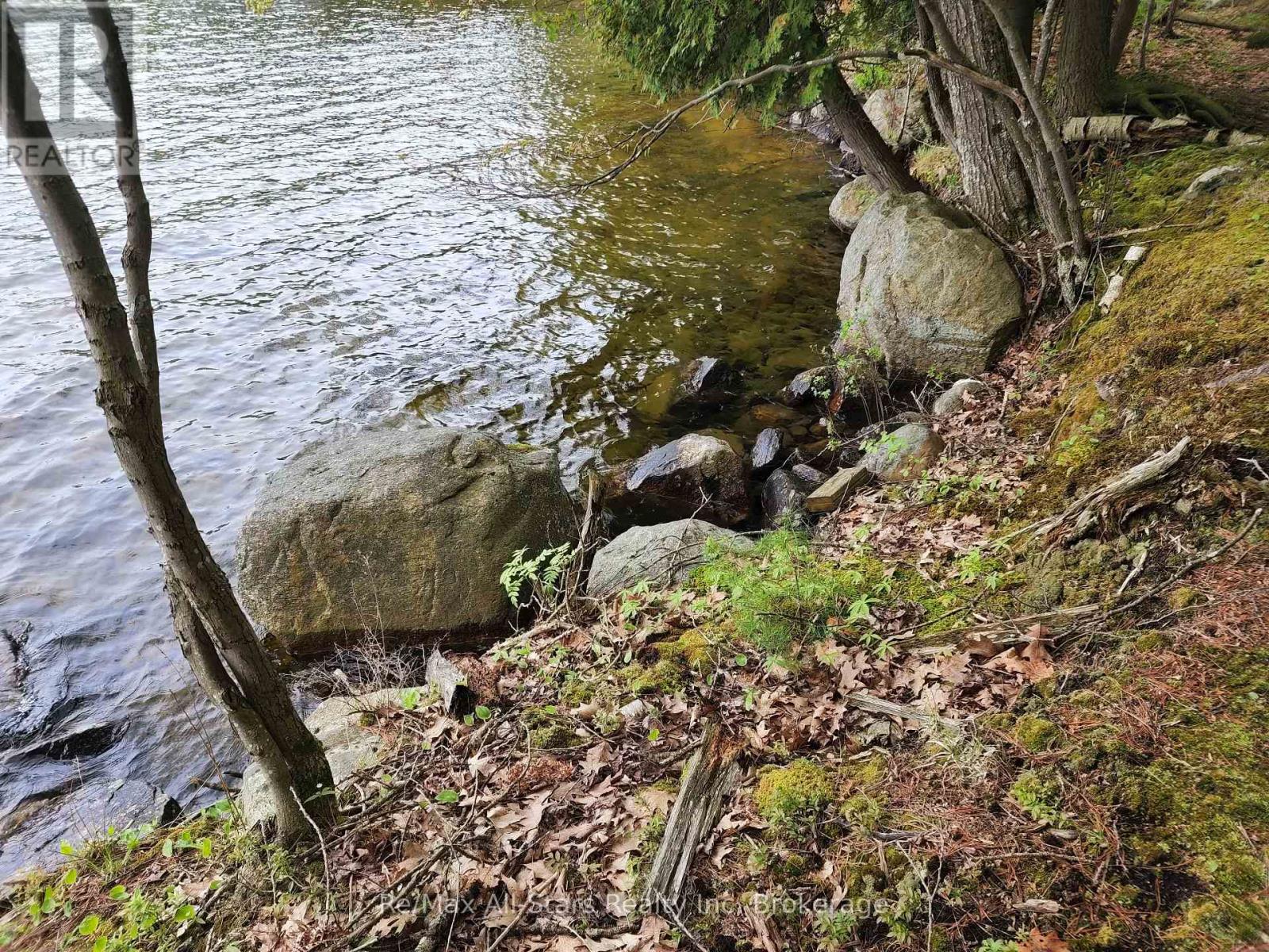 504 Bigwin Island, Lake Of Bays, Ontario  P0A 1H0 - Photo 21 - X12192902
