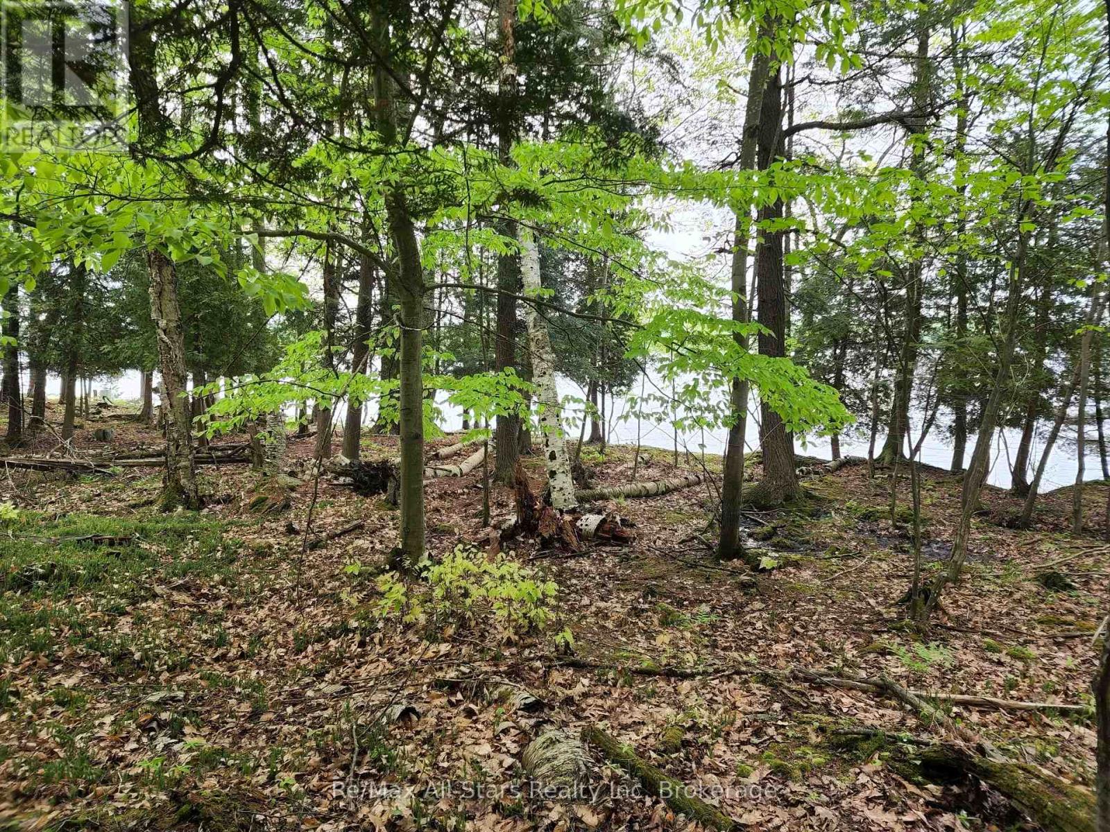 504 Bigwin Island, Lake Of Bays, Ontario  P0A 1H0 - Photo 22 - X12192902