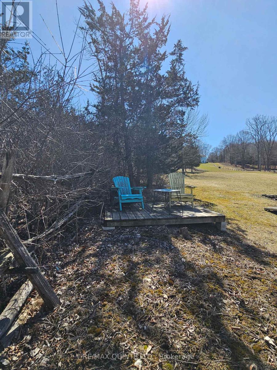12112d Loyalist Parkway, Prince Edward County, Ontario  K0K 2T0 - Photo 43 - X12045229