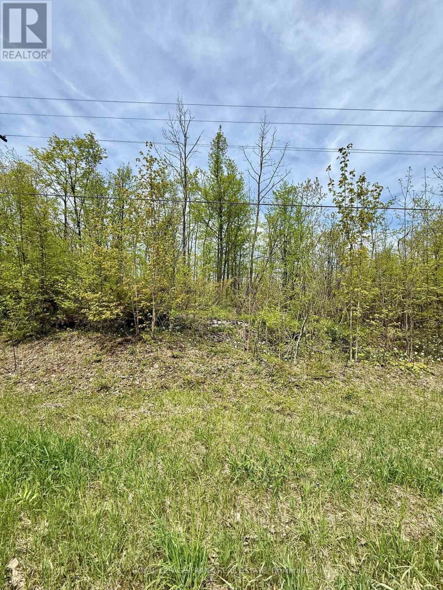 00 Birchview Road, Douro-Dummer, Ontario  K0L 2H0 - Photo 5 - X12192694