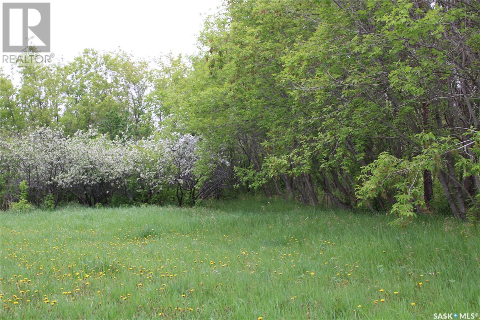730 Broadway Street W, Orkney Rm No. 244, Saskatchewan  S3N 0P3 - Photo 9 - SK992298