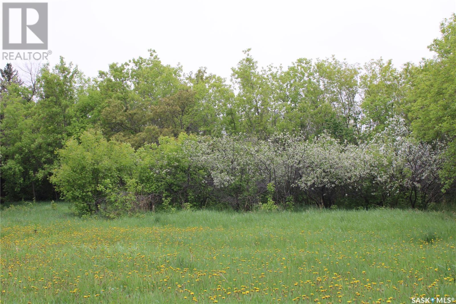 730 Broadway Street W, Orkney Rm No. 244, Saskatchewan  S3N 0P3 - Photo 7 - SK992298