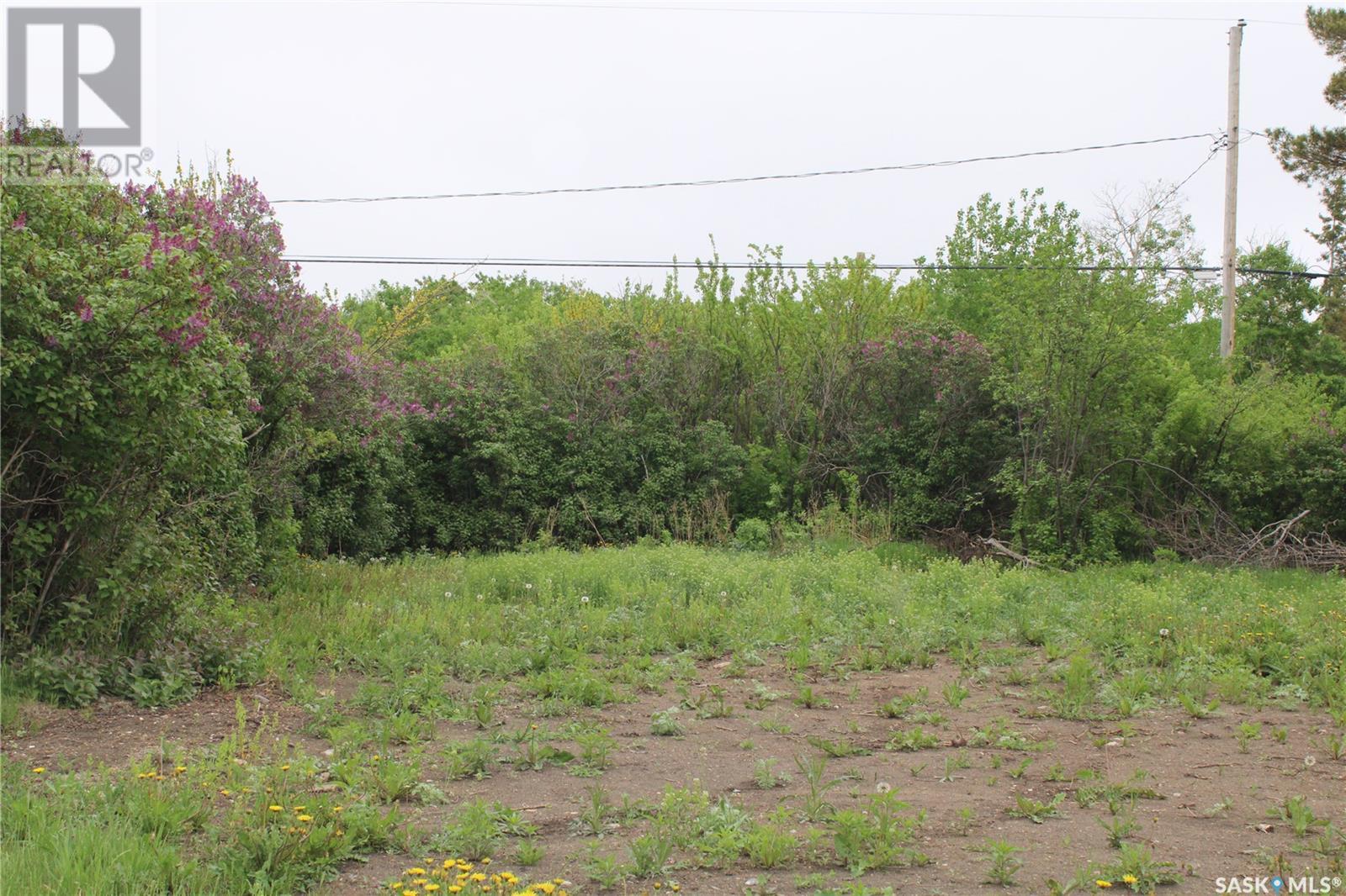 730 Broadway Street W, Orkney Rm No. 244, Saskatchewan  S3N 0P3 - Photo 8 - SK992298