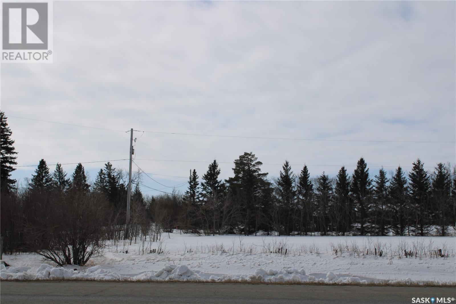 730 Broadway Street W, Orkney Rm No. 244, Saskatchewan  S3N 0P3 - Photo 3 - SK992298