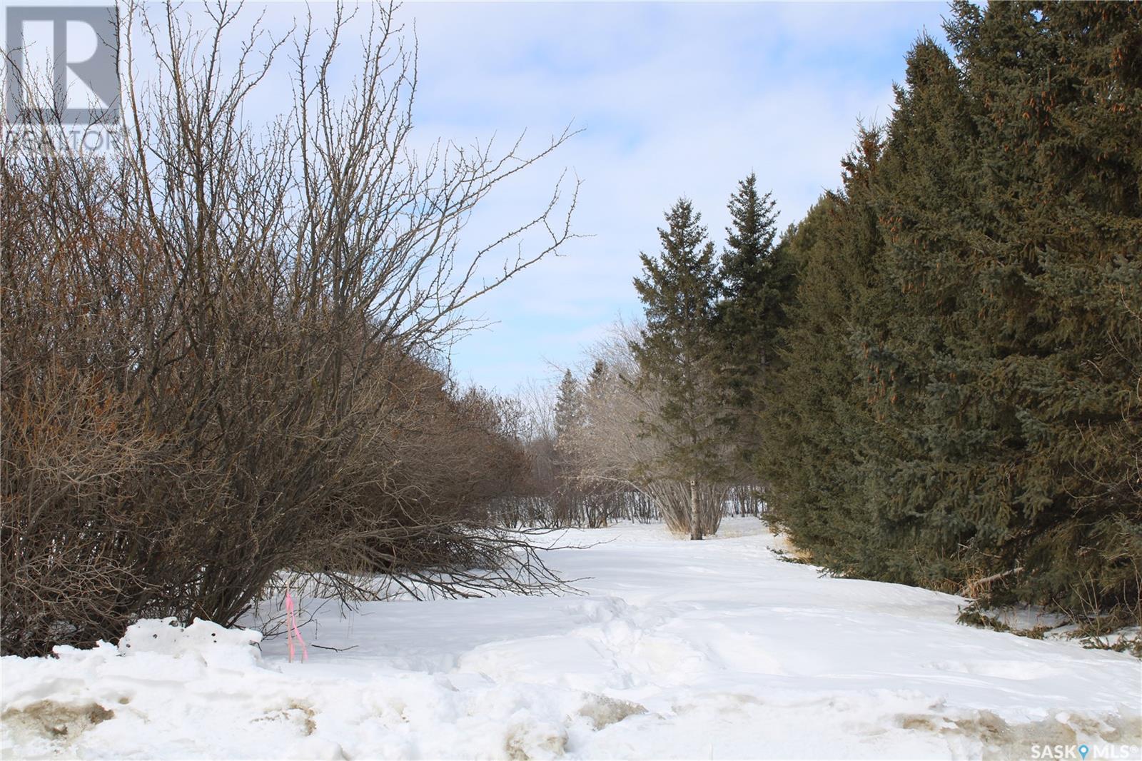 730 Broadway Street W, Orkney Rm No. 244, Saskatchewan  S3N 0P3 - Photo 5 - SK992298