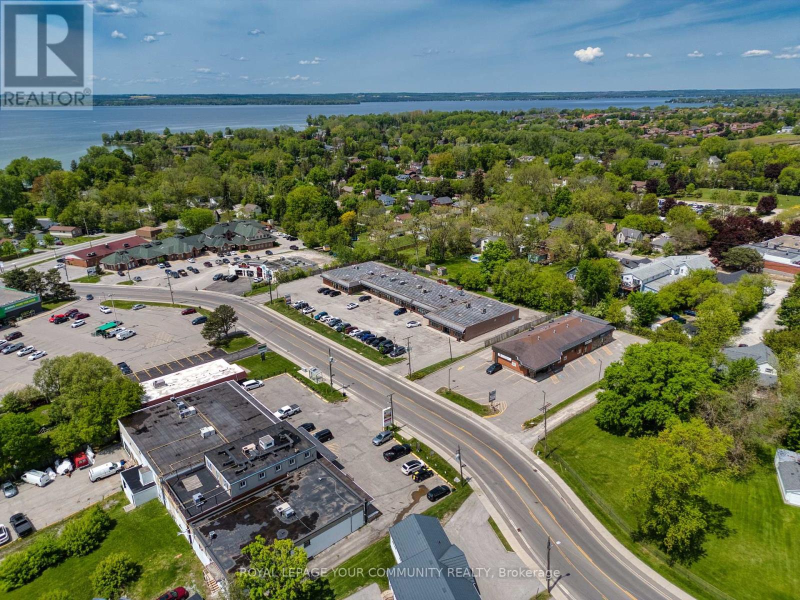 190 Simcoe Avenue, Georgina, Ontario  L4P 2H7 - Photo 2 - N12192415