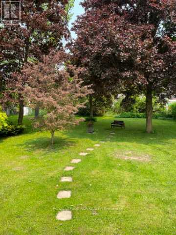 24 Town Line, Orangeville, Ontario  L9W 1T6 - Photo 34 - W12120540