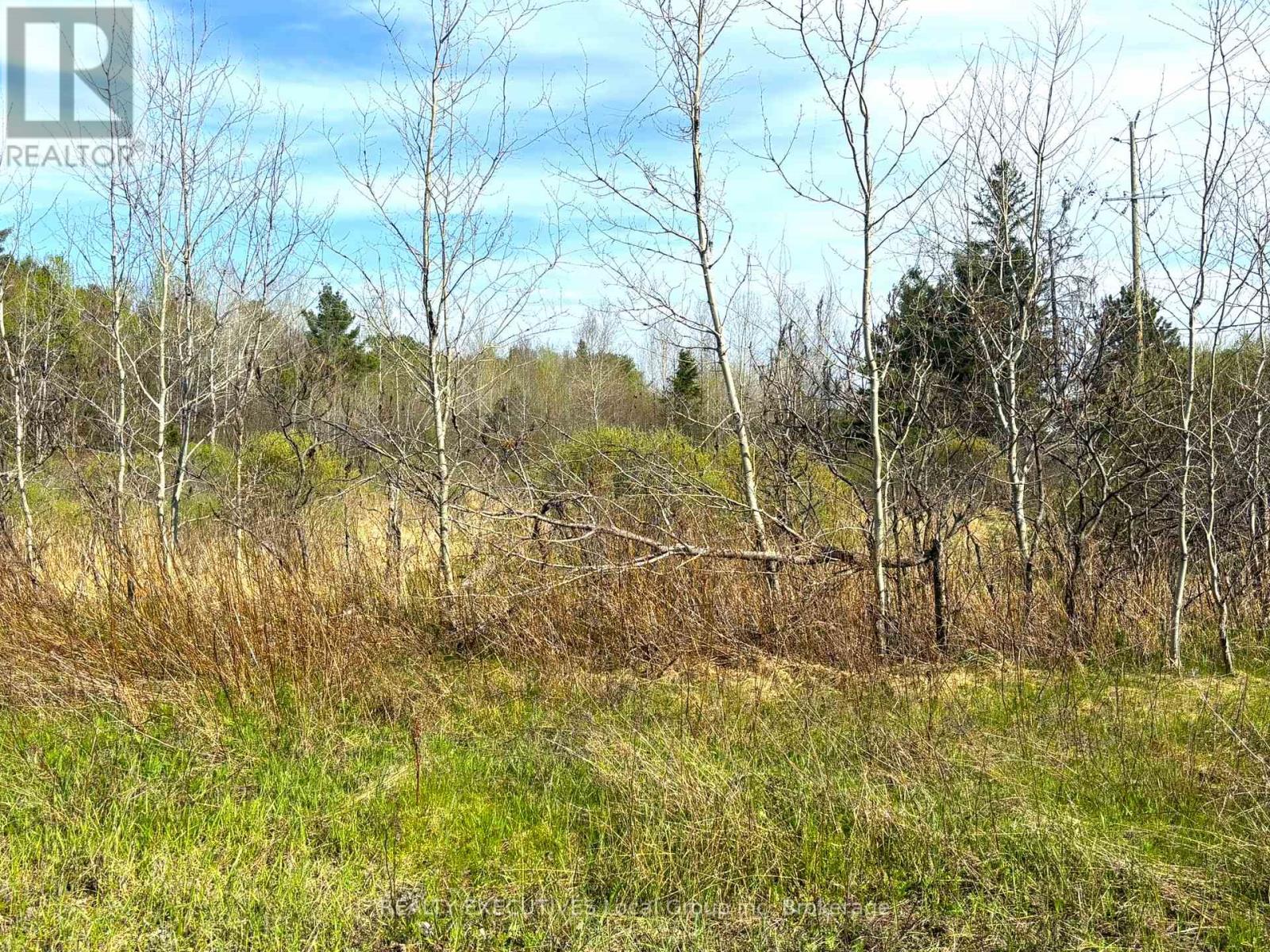 18 Pinewood Park Drive, North Bay, Ontario  P1B 8Z4 - Photo 3 - X12192537
