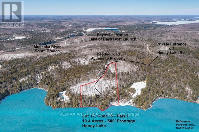 1180 Heney Lake Road, Lake Of Bays, Ontario  P0B 1M0 - Photo 1 - X12165276