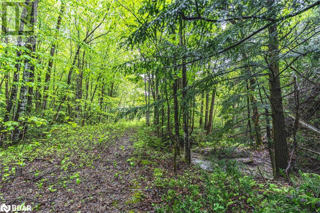 Pt Lots 23 & 24 Con 8, Oro-Medonte, Ontario  L0K 2C0 - Photo 5 - 40728794