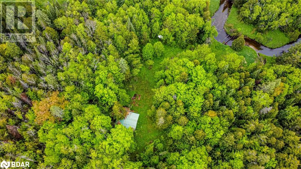 Pt Lots 23 & 24 Con 8, Oro-Medonte, Ontario  L0K 2C0 - Photo 11 - 40728794