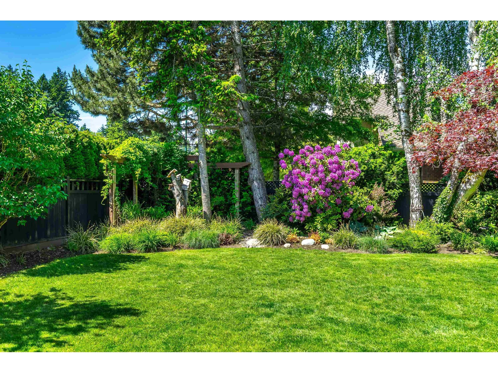 3155 142 Street, Surrey, British Columbia  V4P 2J3 - Photo 36 - R3009529