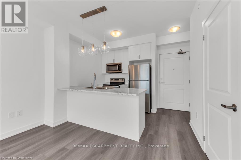 314 - 460 Dundas Street, Hamilton, Ontario  L8B 2A5 - Photo 11 - X12193156