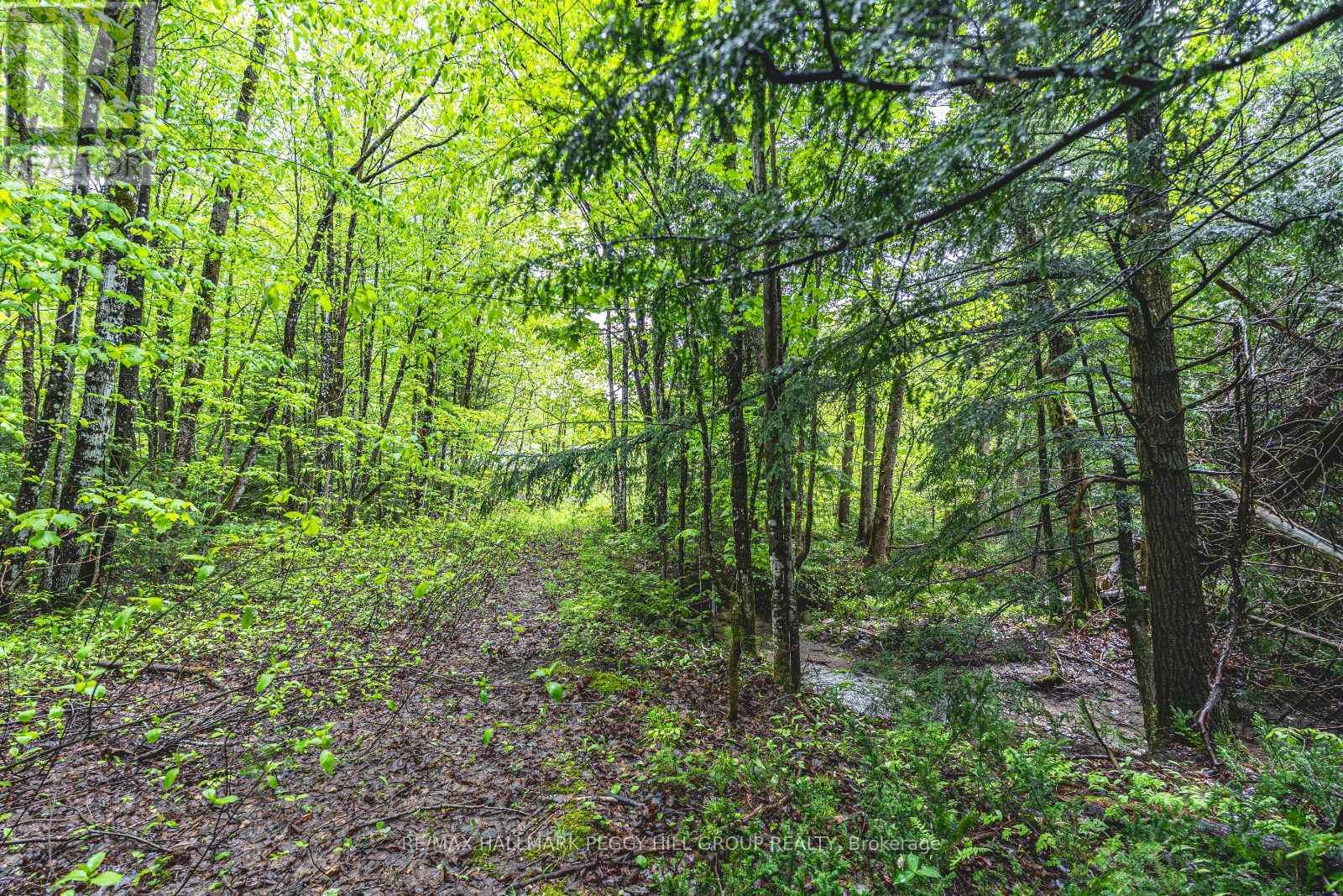 Lt23&24 Con 8, Oro-Medonte, Ontario  L0K 2C0 - Photo 5 - S12148171