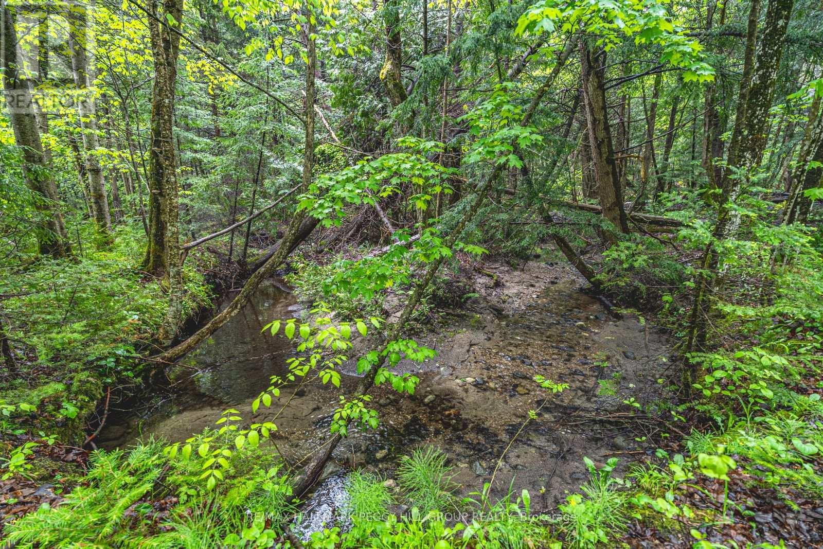 Lt23&24 Con 8, Oro-Medonte, Ontario  L0K 2C0 - Photo 6 - S12148171