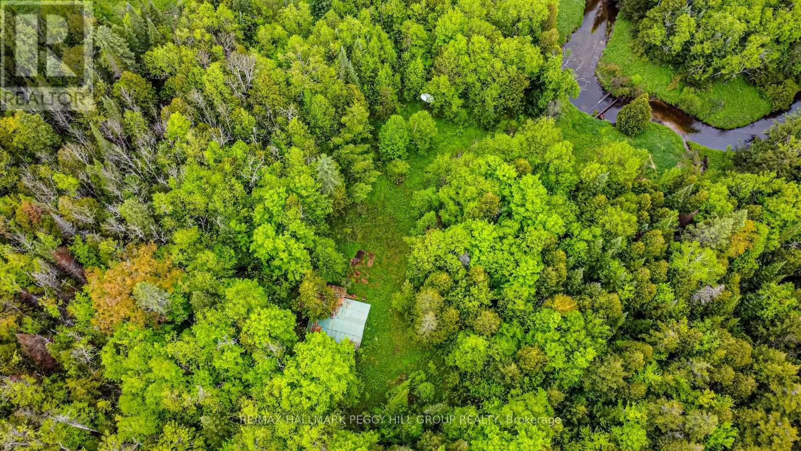 Lt23&24 Con 8, Oro-Medonte, Ontario  L0K 2C0 - Photo 11 - S12148171