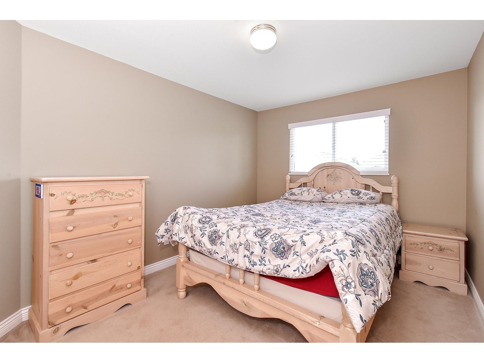 6459 186 Street, Langley, British Columbia  V3S 8S6 - Photo 22 - R3010845