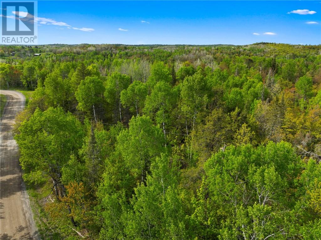 0 Ronka, Worthington, Ontario  P0M 2H0 - Photo 15 - 2122622