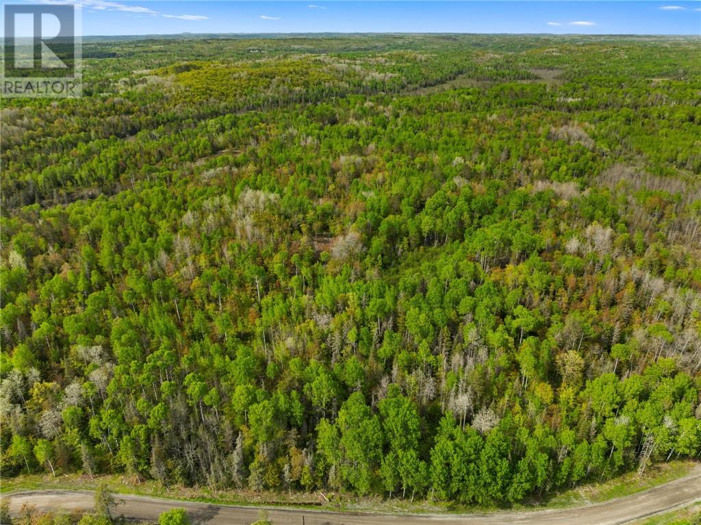 0 Ronka, Worthington, Ontario  P0M 2H0 - Photo 18 - 2122622