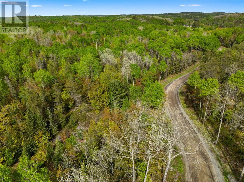 0 Ronka, Worthington, Ontario  P0M 2H0 - Photo 16 - 2122622