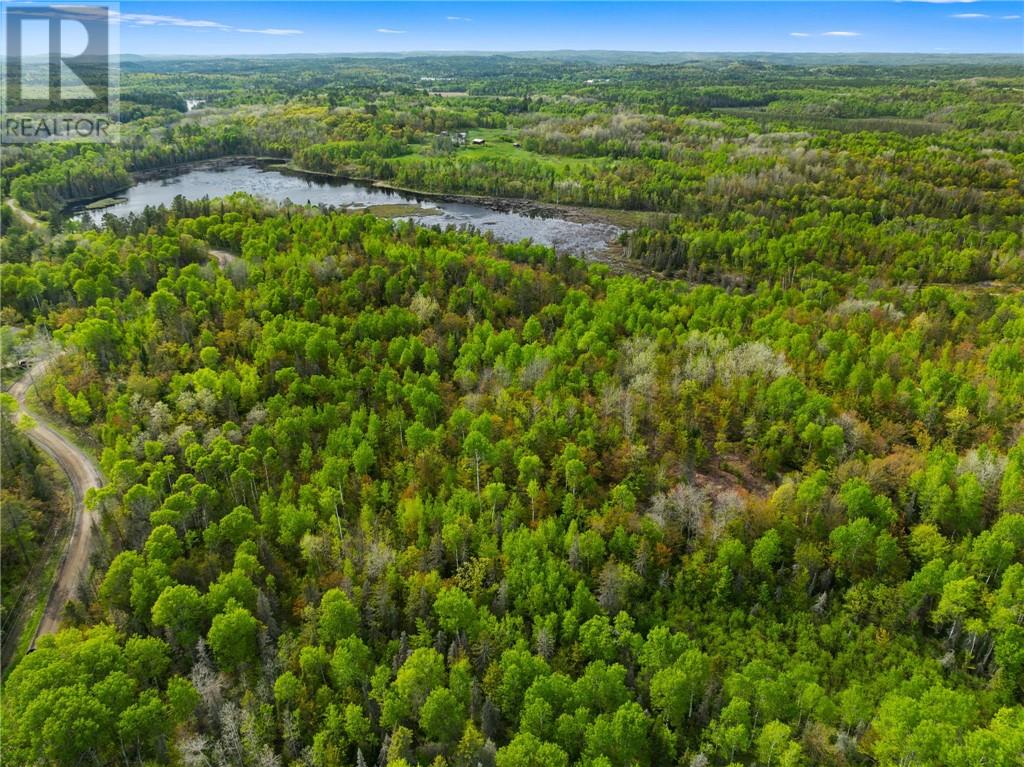 0 Ronka, Worthington, Ontario  P0M 2H0 - Photo 20 - 2122622