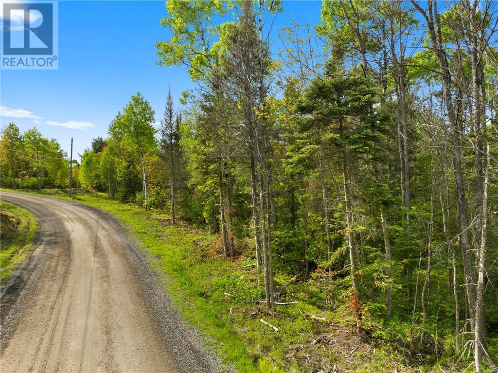 0 Ronka, Worthington, Ontario  P0M 2H0 - Photo 11 - 2122622