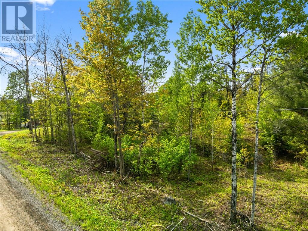0 Ronka, Worthington, Ontario  P0M 2H0 - Photo 13 - 2122622