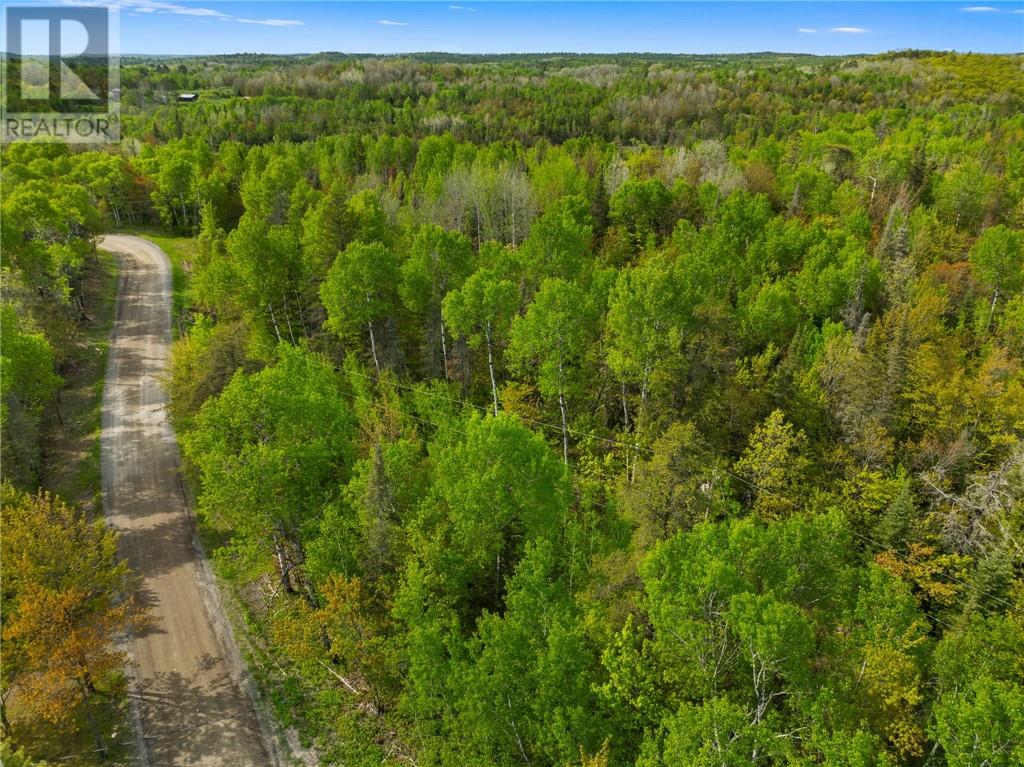 0 Ronka, Worthington, Ontario  P0M 2H0 - Photo 17 - 2122622