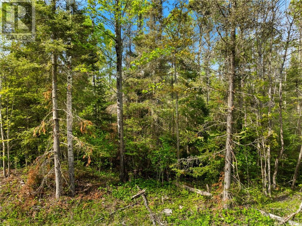 0 Ronka, Worthington, Ontario  P0M 2H0 - Photo 12 - 2122622