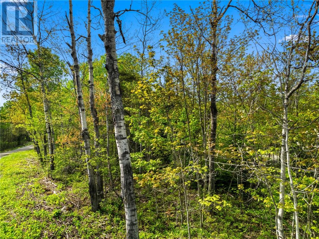 0 Ronka, Worthington, Ontario  P0M 2H0 - Photo 14 - 2122622