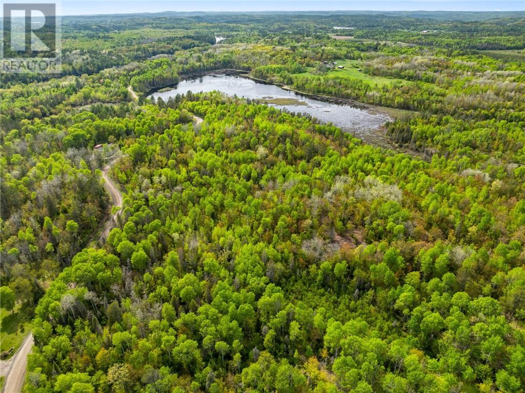 0 Ronka, Worthington, Ontario  P0M 2H0 - Photo 4 - 2122622