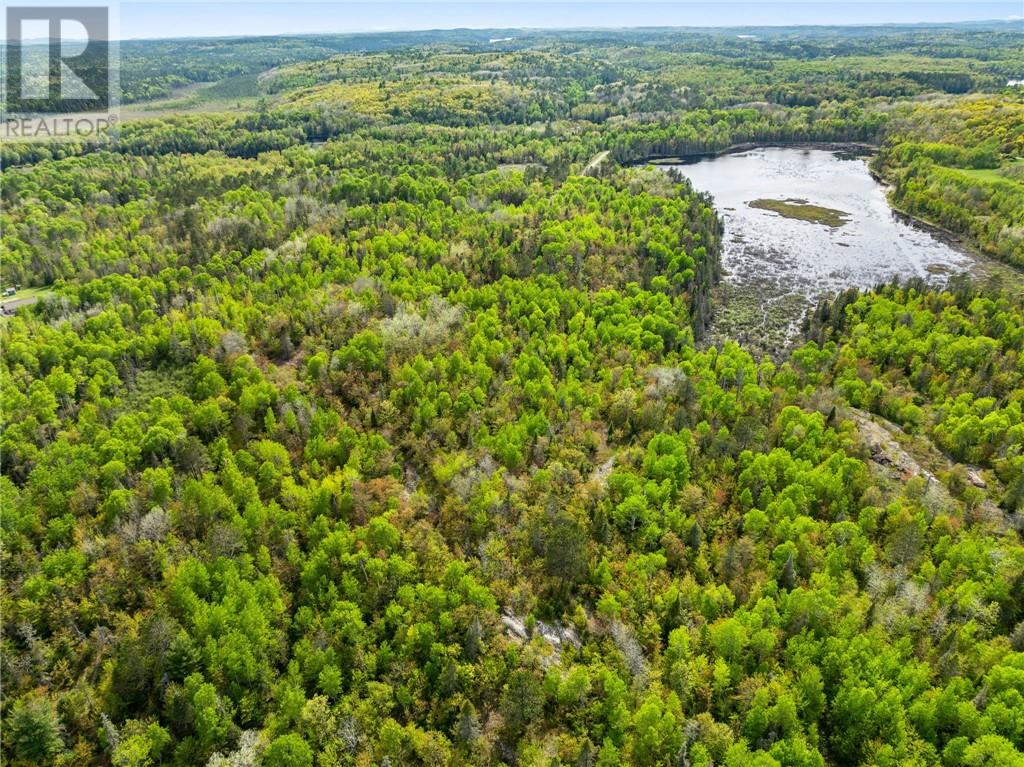 0 Ronka, Worthington, Ontario  P0M 2H0 - Photo 5 - 2122622