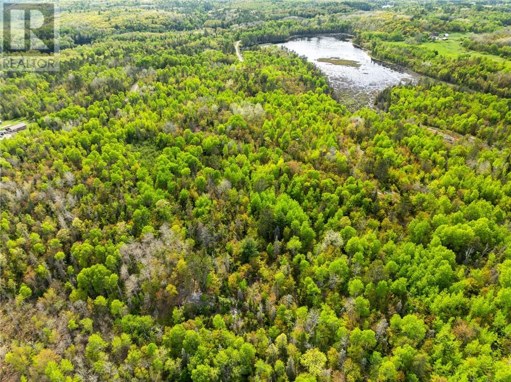 0 Ronka, Worthington, Ontario  P0M 2H0 - Photo 6 - 2122622
