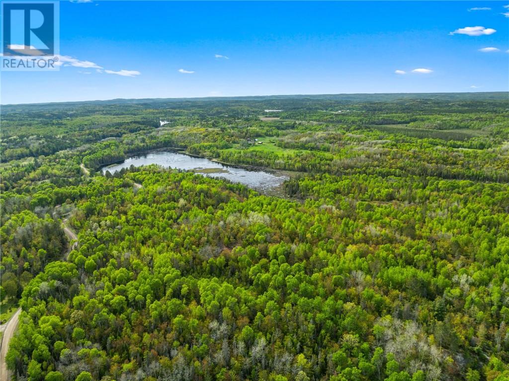 0 Ronka, Worthington, Ontario  P0M 2H0 - Photo 7 - 2122622