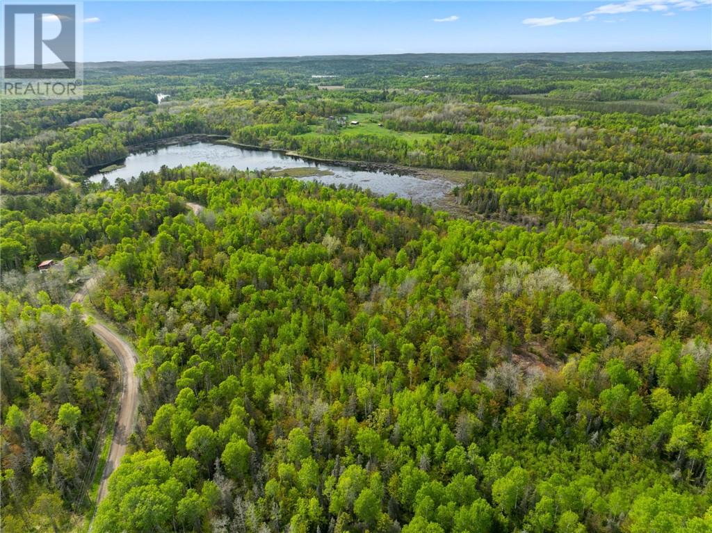 0 Ronka, Worthington, Ontario  P0M 2H0 - Photo 9 - 2122622