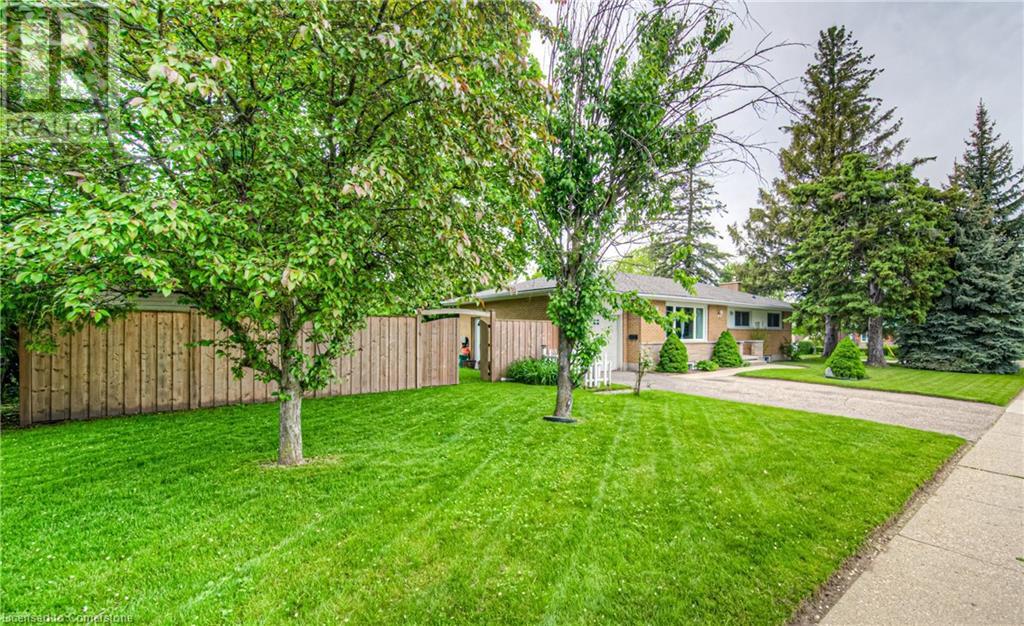 316 Franklin Street N, Kitchener, Ontario  N2A 1Y8 - Photo 3 - 40734492