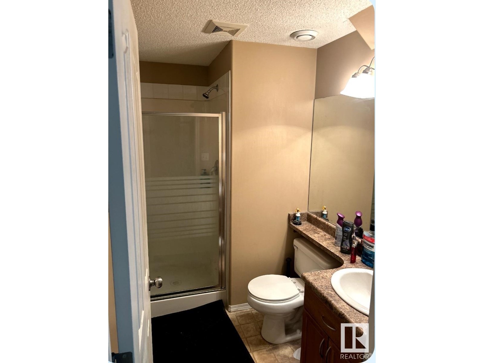 8507 8 Av Sw, Edmonton, Alberta  T6X 1J3 - Photo 15 - E4439483