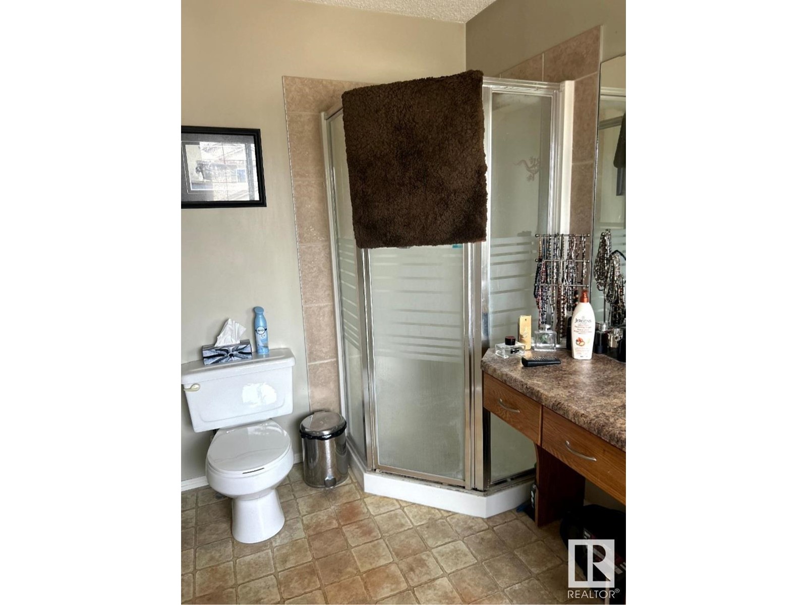 8507 8 Av Sw, Edmonton, Alberta  T6X 1J3 - Photo 13 - E4439483
