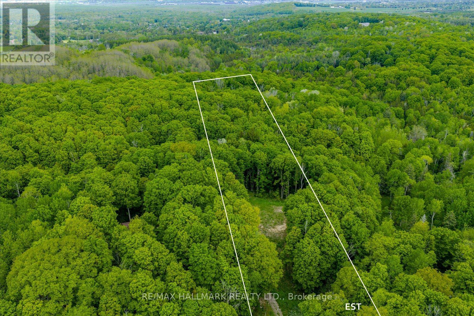 430 Churchill Avenue, King, Ontario  L7B 0G9 - Photo 4 - N12193685