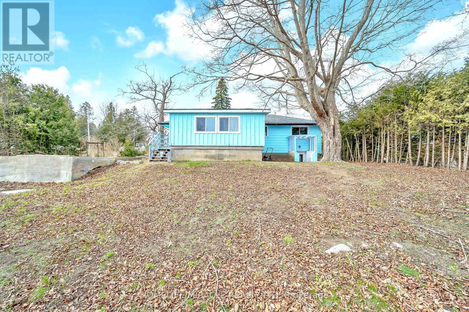 Property at 122 TREMAINE STREET image 4