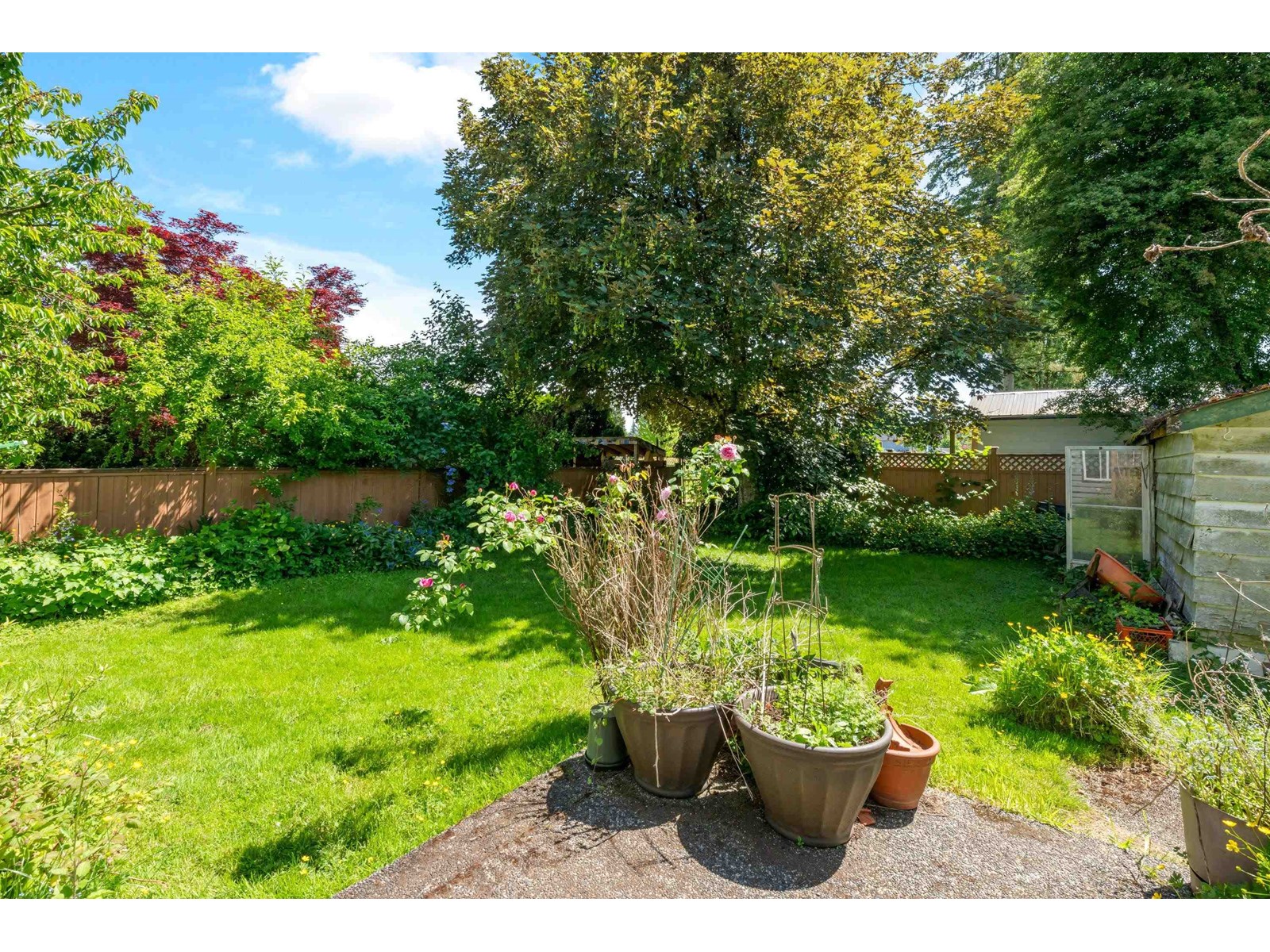 20820 51 Avenue, Langley, British Columbia  V3A 5C1 - Photo 22 - R3010354