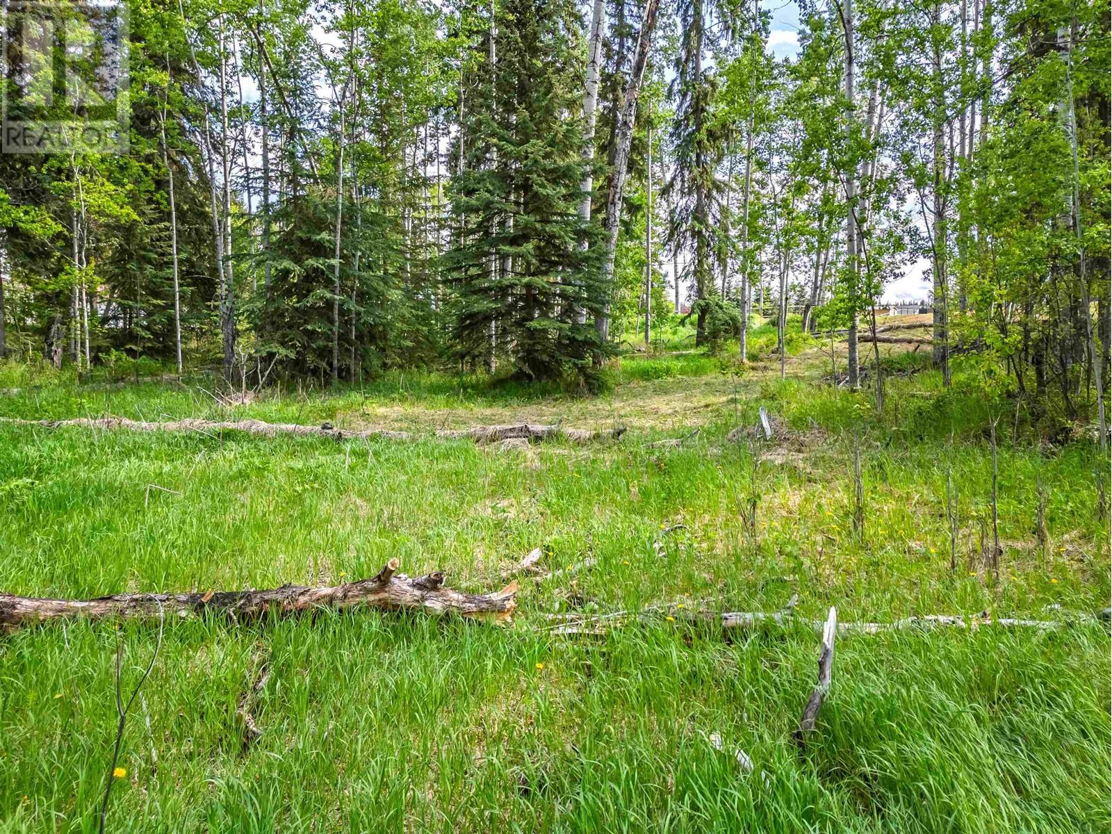 6139 Lakeshore Drive, Horse Lake, British Columbia  V0K 2E3 - Photo 12 - R3011039