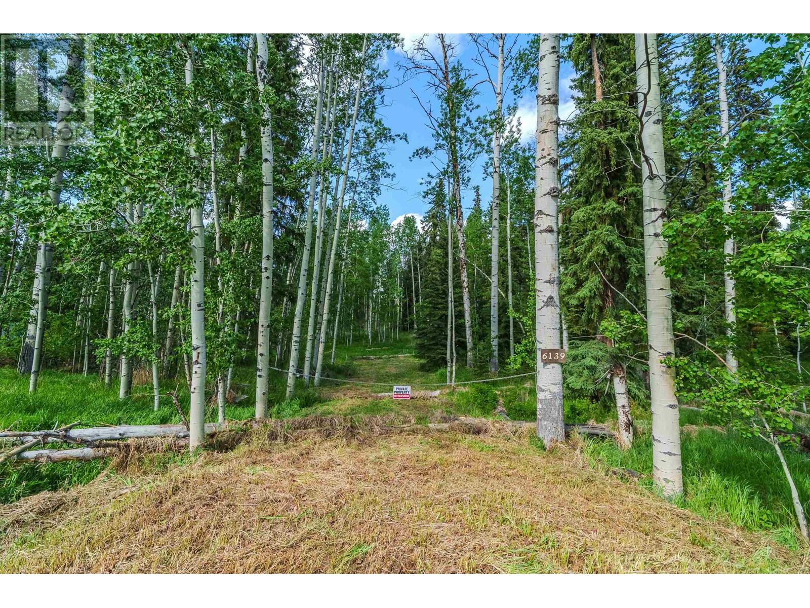 6139 Lakeshore Drive, Horse Lake, British Columbia  V0K 2E3 - Photo 18 - R3011039