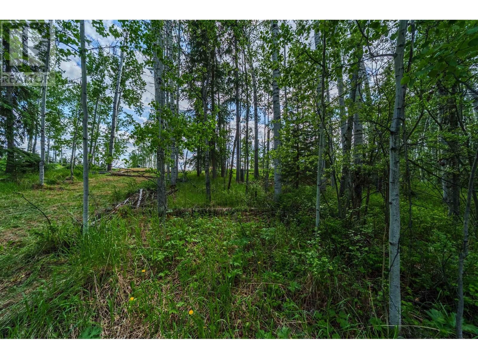 6139 Lakeshore Drive, Horse Lake, British Columbia  V0K 2E3 - Photo 24 - R3011039
