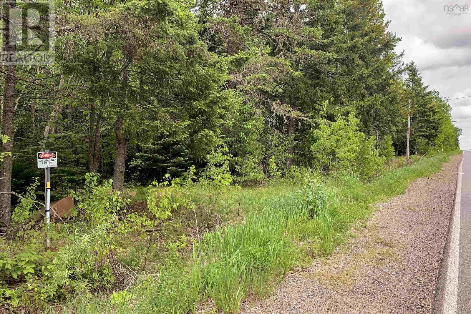 Lot 6 Highway 321, Roslin, Nova Scotia  B0K 1K0 - Photo 8 - 202513193