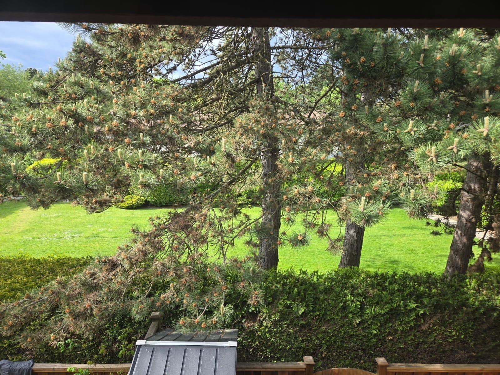 111 13880 74 Avenue, Surrey, British Columbia  V3W 7E6 - Photo 31 - R3003114