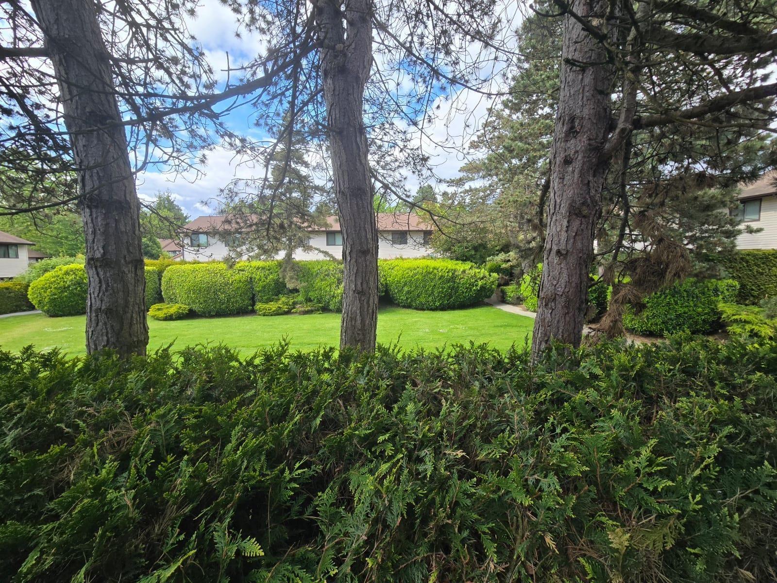 111 13880 74 Avenue, Surrey, British Columbia  V3W 7E6 - Photo 30 - R3003114