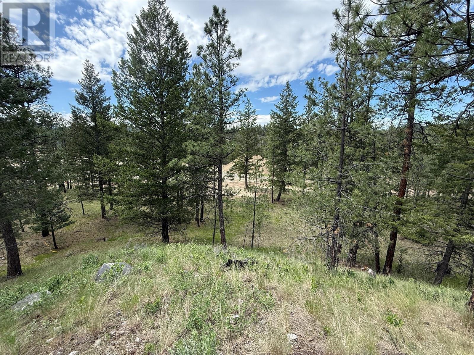 Proposed Lot 14 - 6145 Parnaby Road, Cranbrook, British Columbia  V1C 0C2 - Photo 8 - 10350283